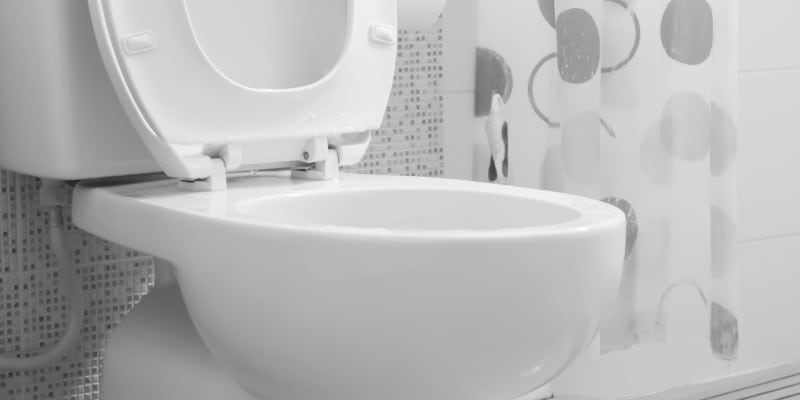 Toilets in Collingwood, Ontario